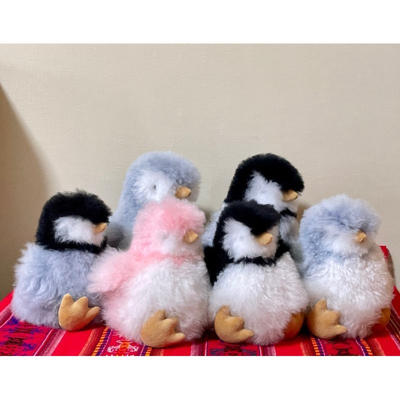 🇵🇪秘魯手作🔛羊駝毛玩偶擺飾♥︎企鵝家族（現貨一隻）-細節圖9