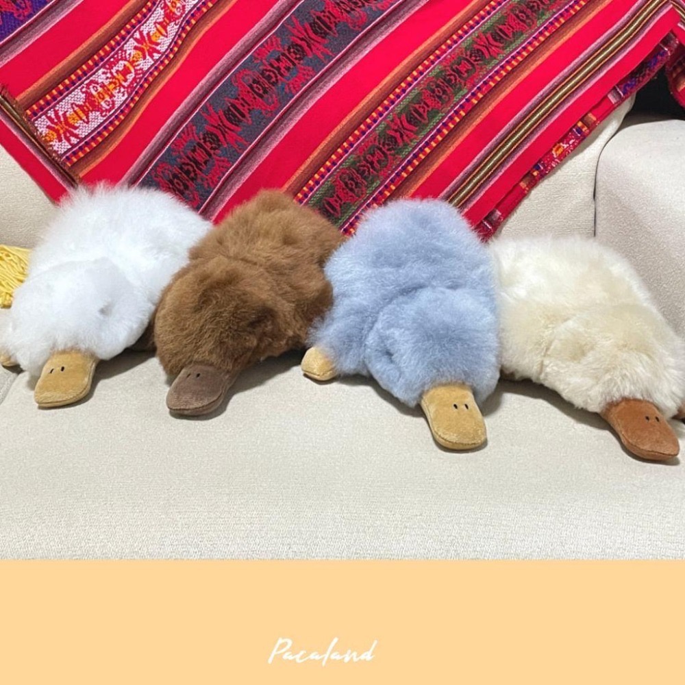 收藏推薦🇵🇪秘魯手作🔛羊駝毛玩偶♥︎神秘鴨嘴獸-細節圖2