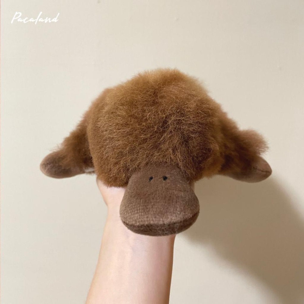 收藏推薦🇵🇪秘魯手作🔛羊駝毛玩偶♥︎神秘鴨嘴獸-細節圖3