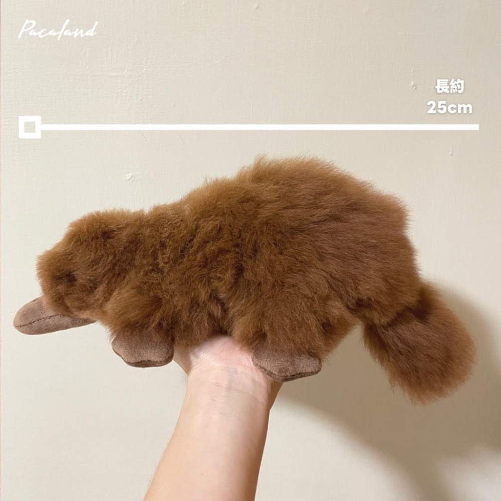 收藏推薦🇵🇪秘魯手作🔛羊駝毛玩偶♥︎神秘鴨嘴獸-細節圖4