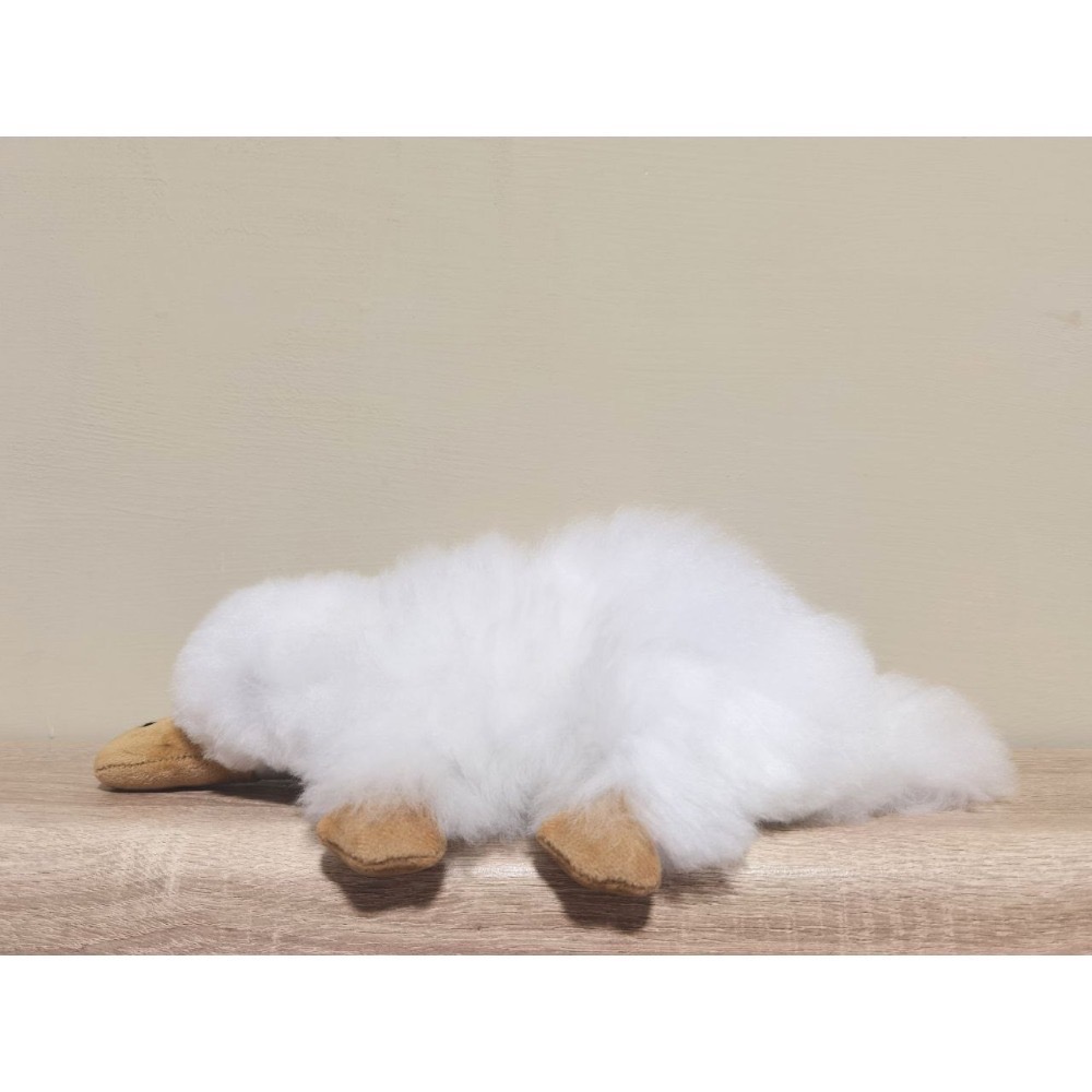 收藏推薦🇵🇪秘魯手作🔛羊駝毛玩偶♥︎神秘鴨嘴獸-規格圖5