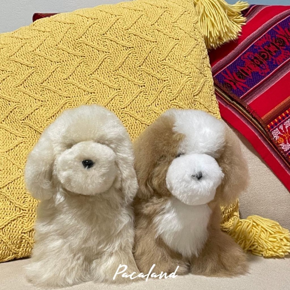 聖誕送禮推薦🇵🇪秘魯手作🔛羊駝毛玩偶♥︎奶萌小狗-細節圖2