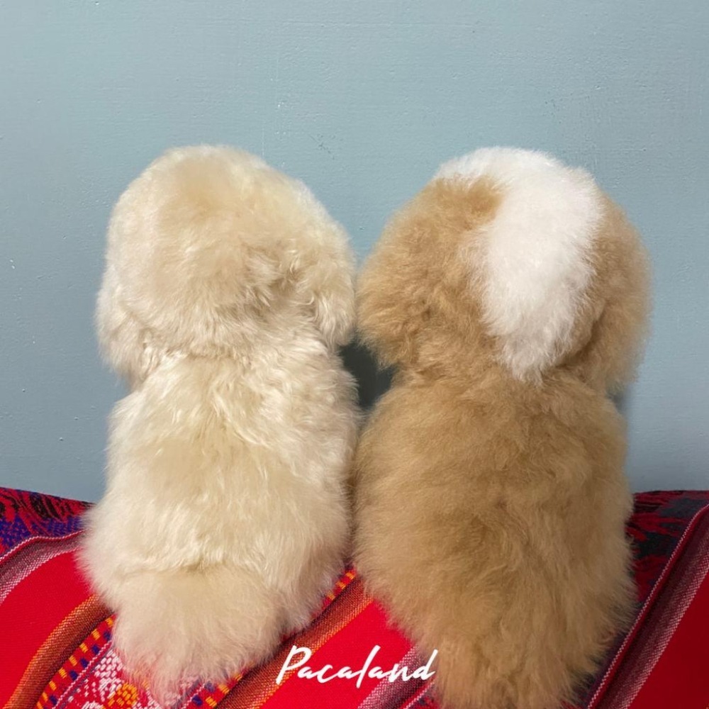 聖誕送禮推薦🇵🇪秘魯手作🔛羊駝毛玩偶♥︎奶萌小狗-細節圖5