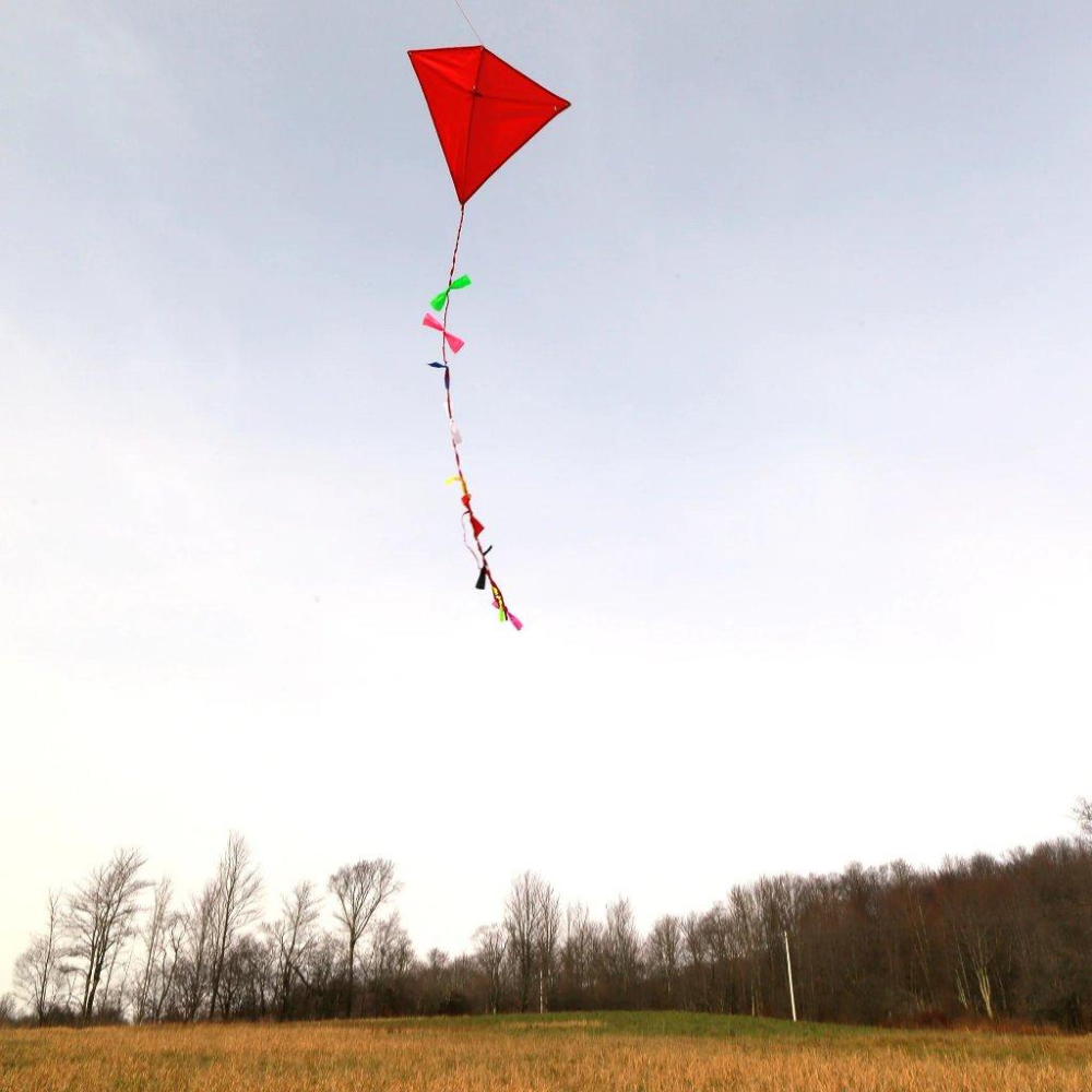 【Kikkerland】Huckleberry Red Kite｜戶外經典紅風箏-細節圖3