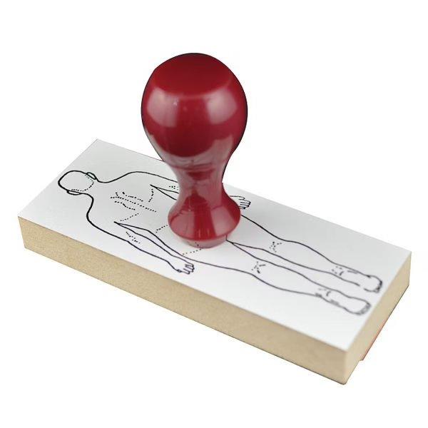 【SANBY】人體圖解印章｜日本製醫療用印章-細節圖2