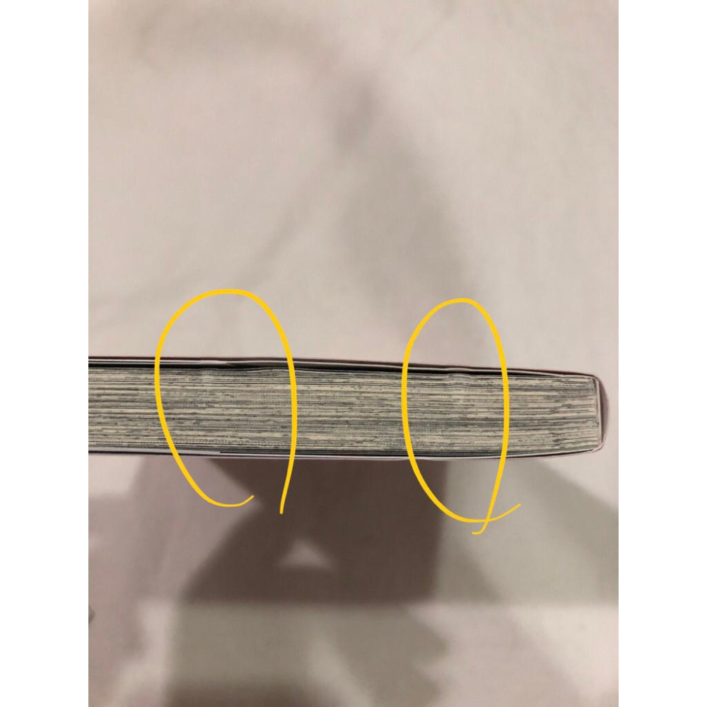 首刷 🌟 獸人與少年的小不點雙胞胎 1 BL漫畫 羽純ハナ-細節圖5