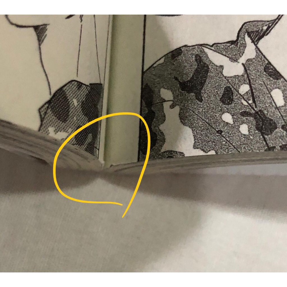 首刷🌟 你喜歡漂亮男人嗎？ BL漫畫 末広マチ-細節圖7