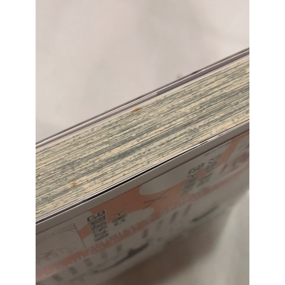 首刷🌟 我回來了 歡迎回家 BL漫畫 いちかわ壱-細節圖7