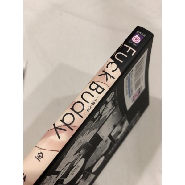 首刷 🌟 浪蕩兄弟 BL漫畫 雛子　ひなこ-細節圖2