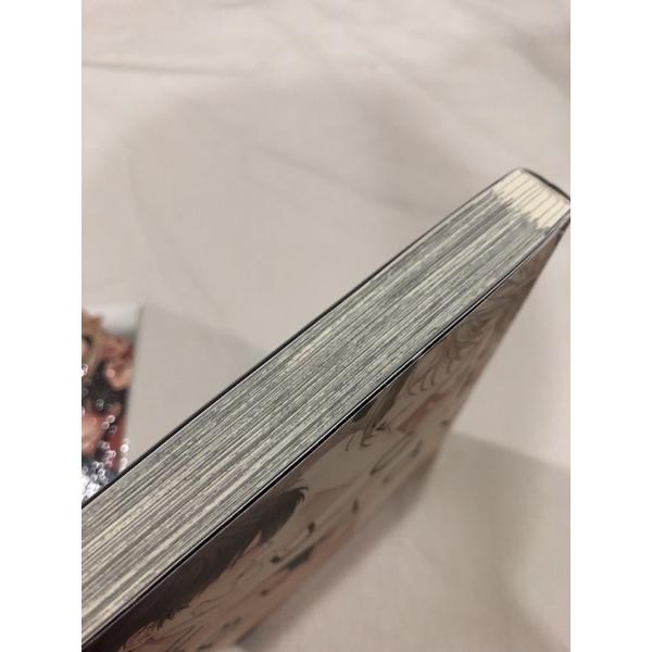 首刷 🌟 浪蕩兄弟 BL漫畫 雛子　ひなこ-細節圖3