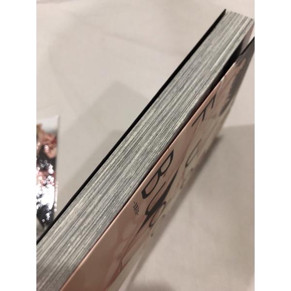 首刷 🌟 浪蕩兄弟 BL漫畫 雛子　ひなこ-細節圖4