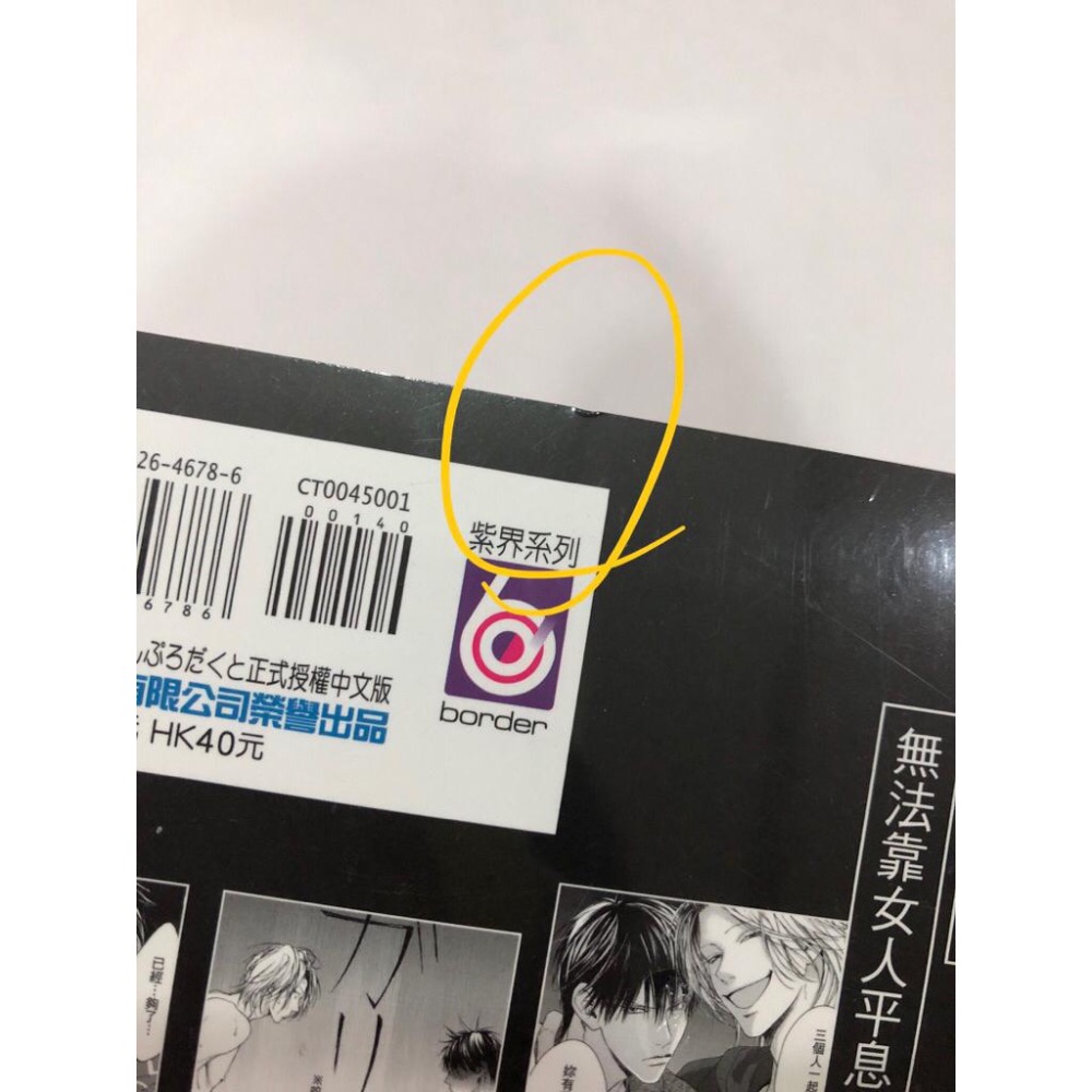 首刷、未拆封🌟 浪蕩兄弟 BL漫畫 雛子　ひなこ-細節圖3