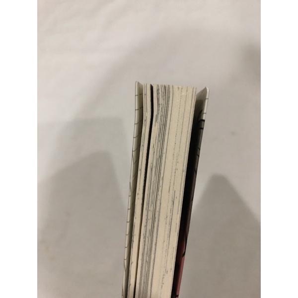 含首刷卡 🌟 情色小說家 BL漫畫 丸木戶マキ-細節圖4