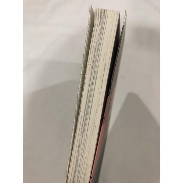 含首刷卡 🌟 情色小說家 BL漫畫 丸木戶マキ-細節圖5