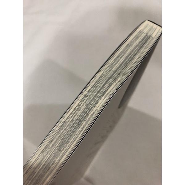 含首刷卡 🌟 情色小說家 BL漫畫 丸木戶マキ-細節圖6