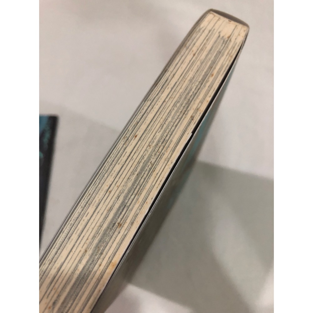 首刷限定 🌟 MADK 惡魔調教 2 BL漫畫 硯遼-細節圖3