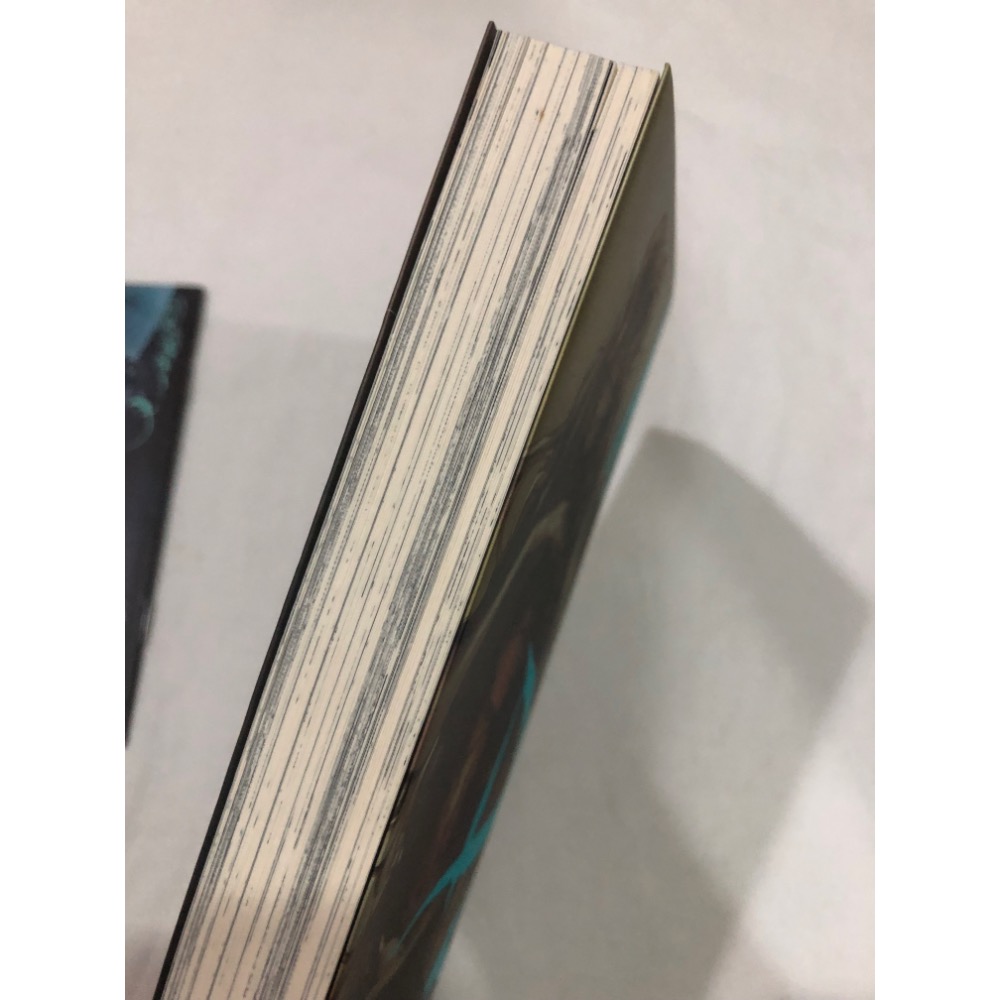 首刷限定 🌟 MADK 惡魔調教 2 BL漫畫 硯遼-細節圖4