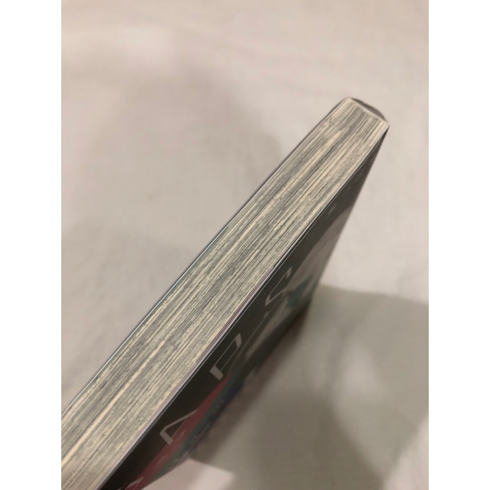 首刷 🌟 GAPS 渴望   BL漫畫  里つばめ-細節圖5