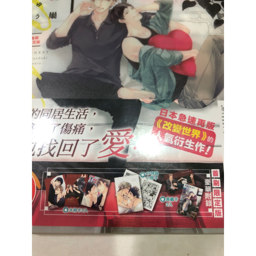 首刷限定版、未拆封、兩本價🌟 我倆的愛巢 上下 南月ゆう BL漫畫-細節圖5