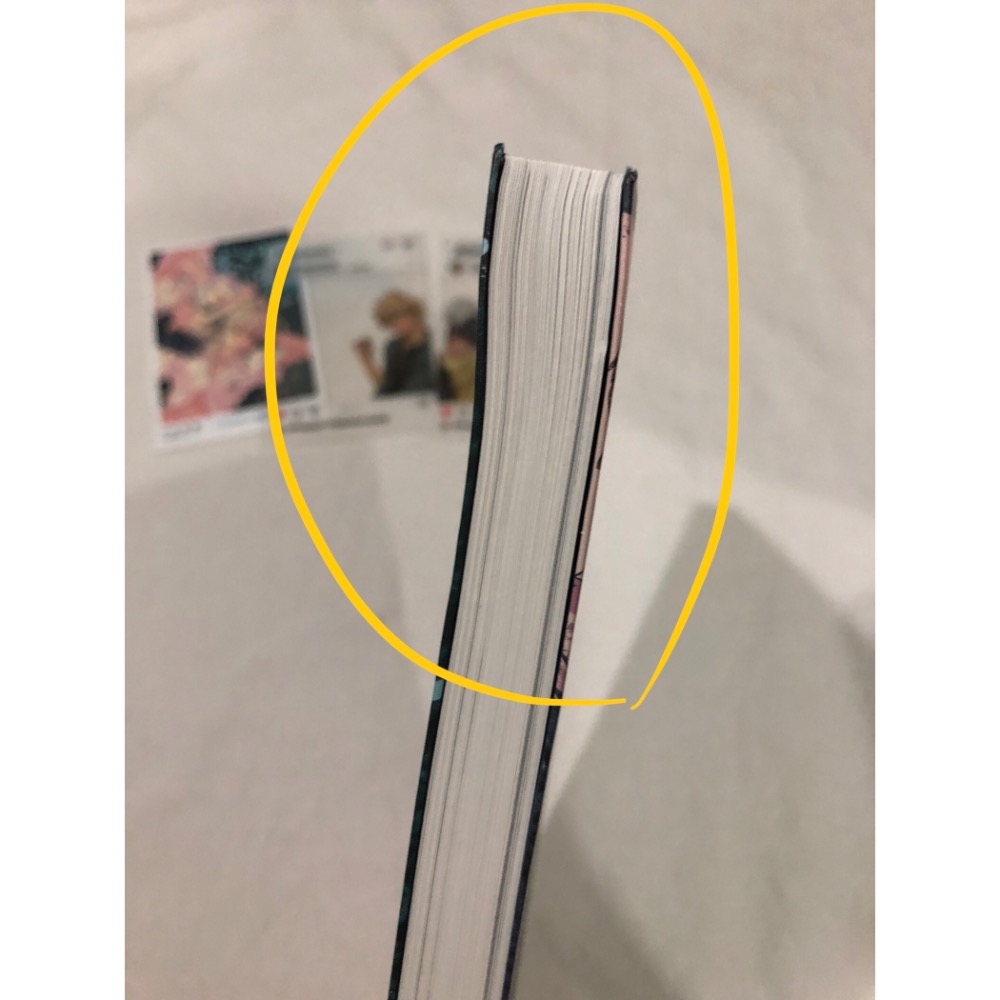 有附件 🌟 黎明前的回聲 狼七 黑暗青春 漫畫-細節圖3