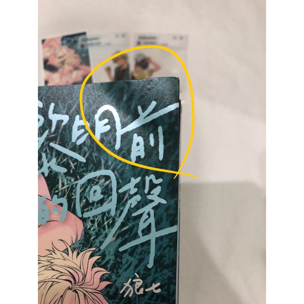 有附件 🌟 黎明前的回聲 狼七 黑暗青春 漫畫-細節圖4