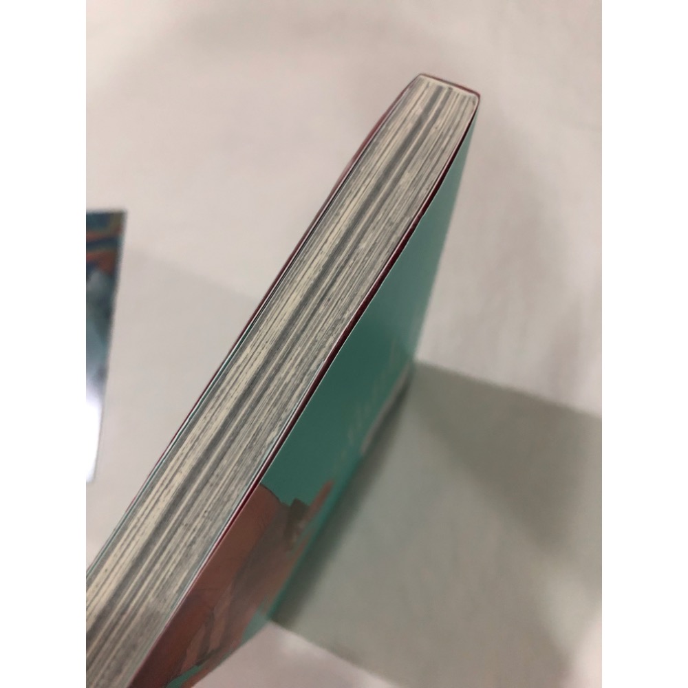 含首刷卡 🌟 光逝去的夏天 2 BL漫畫-細節圖4