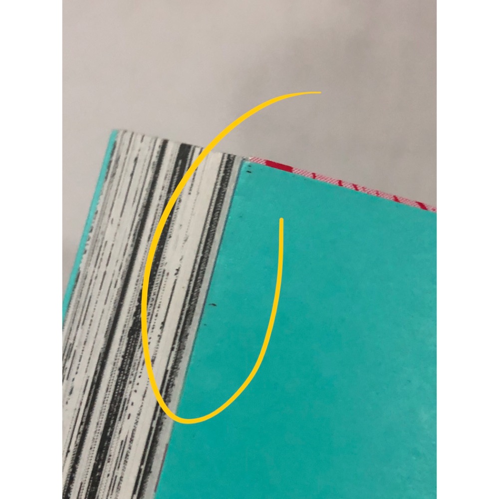 含首刷卡 🌟 光逝去的夏天 2 BL漫畫-細節圖5