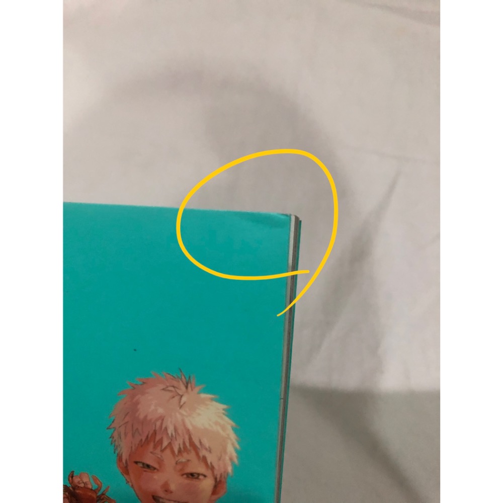 含首刷卡 🌟 光逝去的夏天 2 BL漫畫-細節圖6