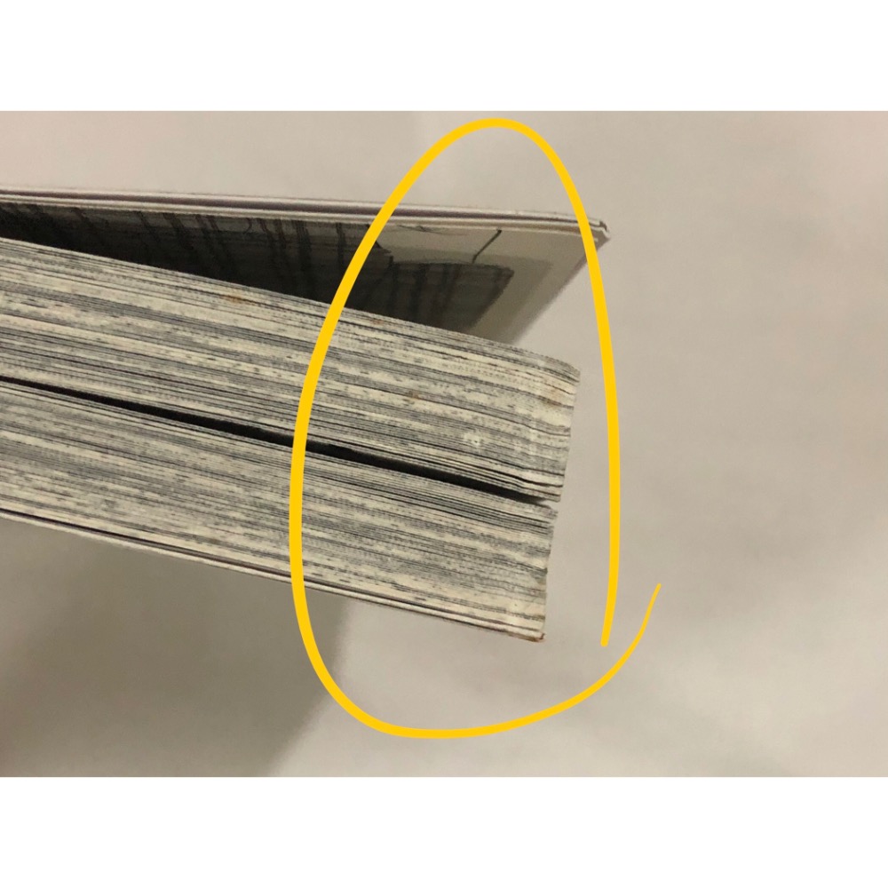 輕微黃斑 🌟 有薪假 藤峰式 BL漫畫-細節圖7