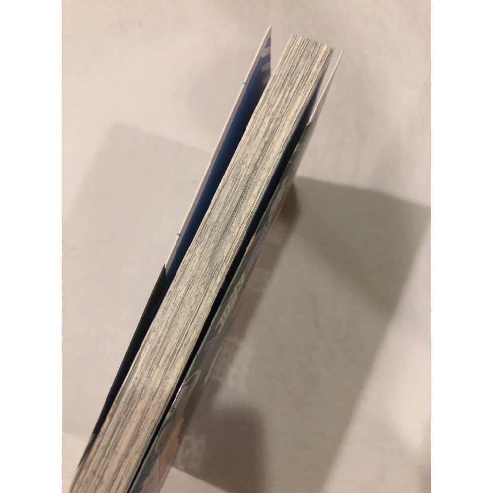 首刷卡+書腰🌟 我讓最想被擁抱的男人給威脅了 3 BL漫畫 櫻日梯子-細節圖5