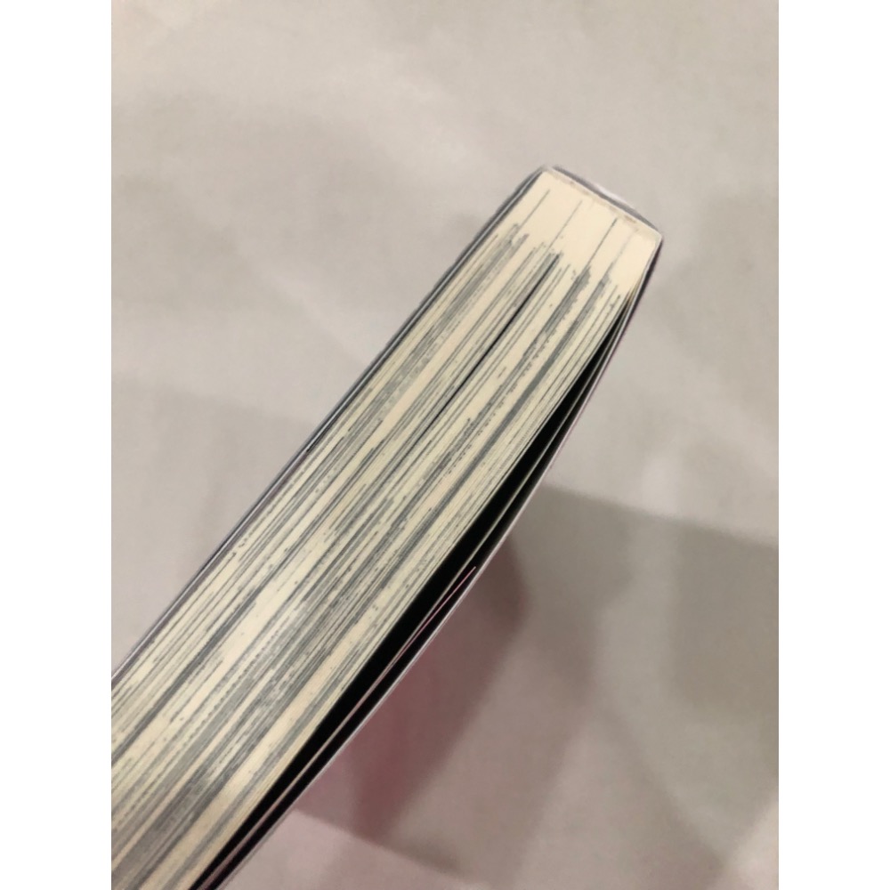 首刷 🌟 PUNKS△TRIANGLE  BL漫畫 沖田有帆-細節圖5