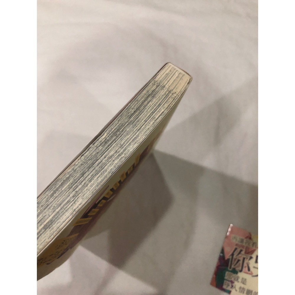 超人氣 、首刷、附書腰 🌟 愛哭寶貝 BL漫畫 灼-細節圖5