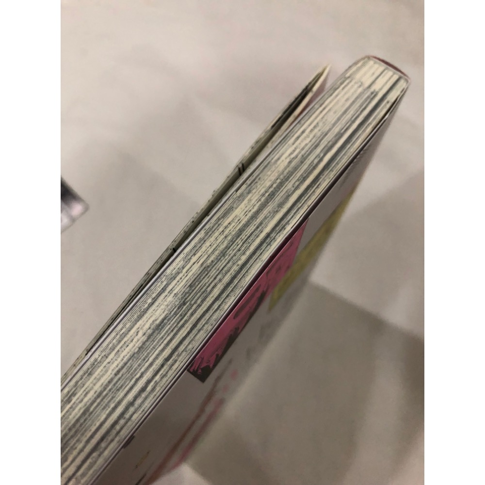 首刷限定版、附小冊子 🌟 美味佳餚Ω吱吱叫 1 BL漫畫　はなさわ浪雄-細節圖5