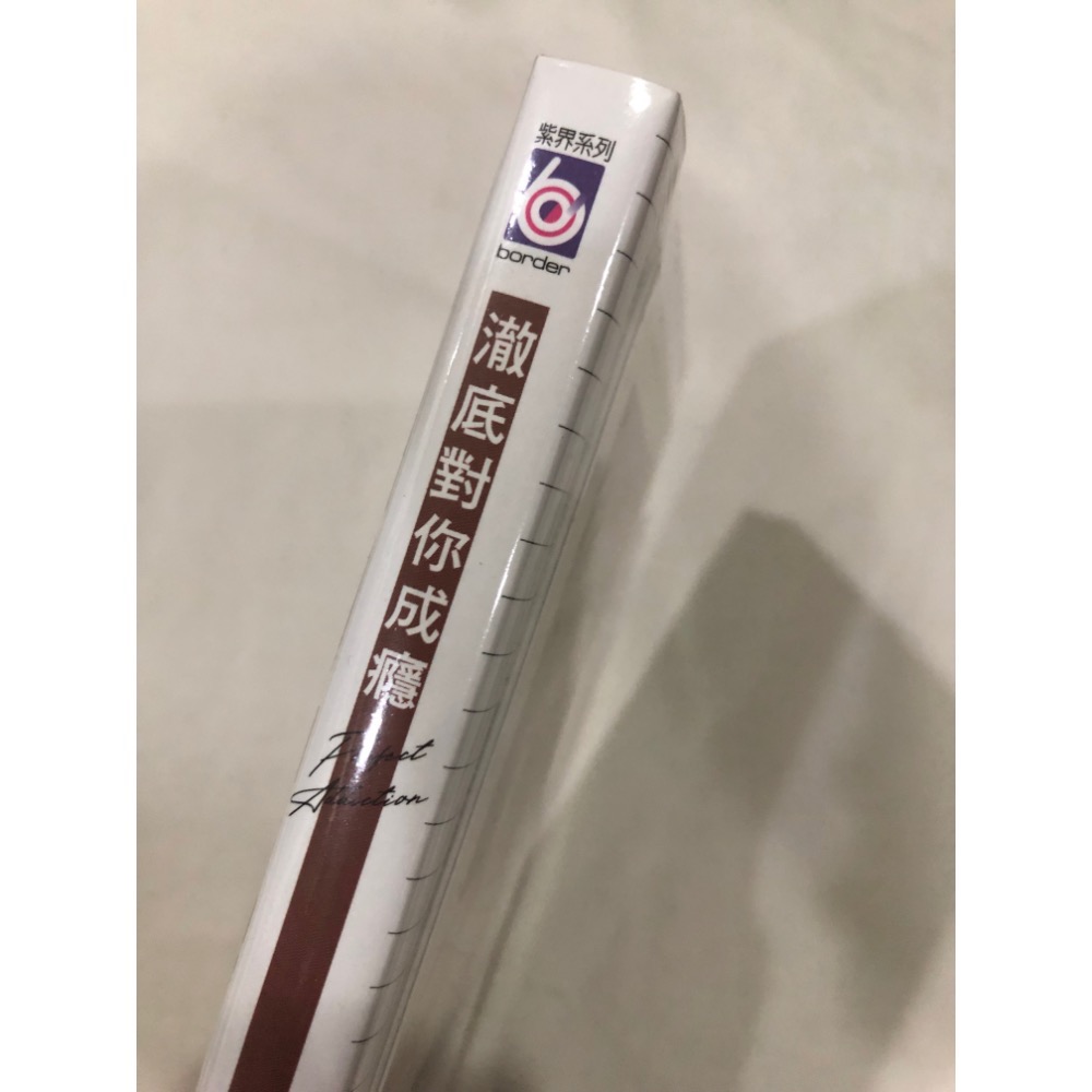 首刷限定、未拆封 🌟 澈底對你成癮 1 BL漫畫 美山薰子-細節圖2