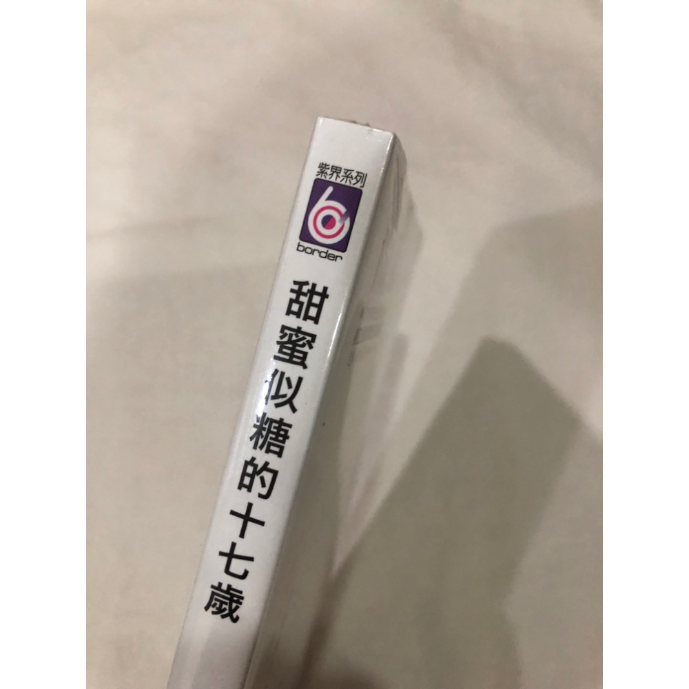 未拆封、首刷 +贈書 🌟 甜蜜似糖的十七歲 BL漫畫 甜蜜似糖的17歲-細節圖2