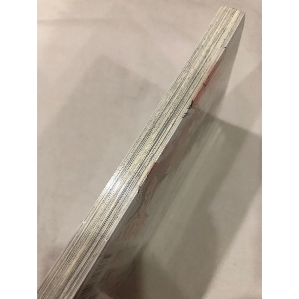 未拆封、首刷 🌟 甜蜜似糖的十七歲 BL漫畫 甜蜜似糖的17歲-細節圖4