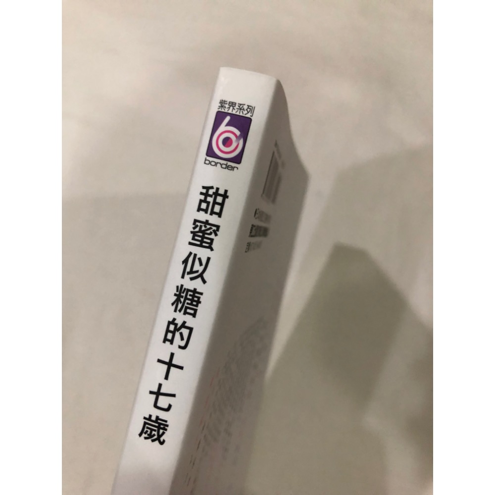 首刷  🌟 甜蜜似糖的十七歲 BL漫畫 甜蜜似糖的17歲-細節圖2