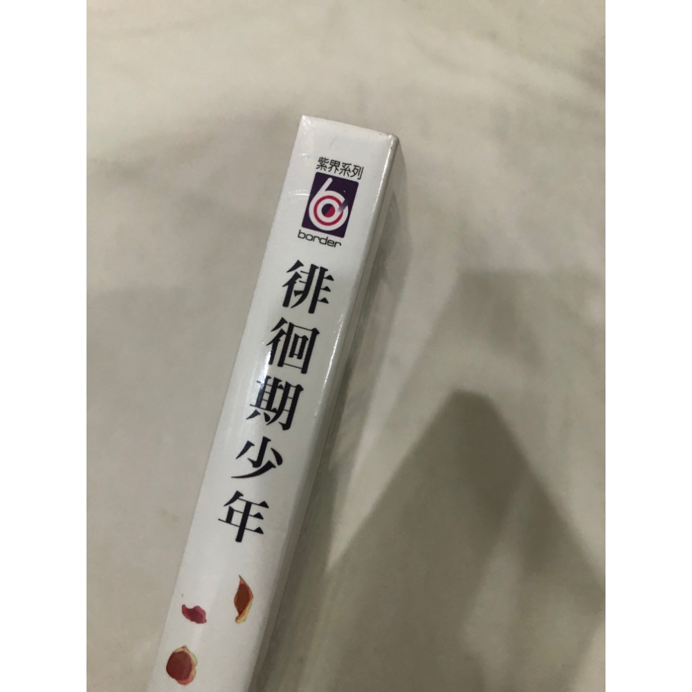 首刷、未拆封 🌟 徘徊期少年 BL漫畫 吾妻香夜-細節圖2