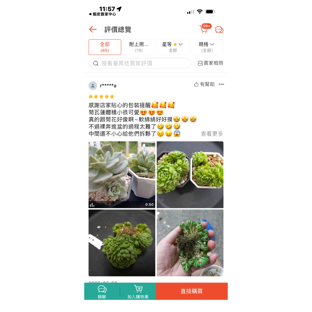 春園多肉🈵199發貨【399超商免運】  🚚 4吋多肉植物組盆、辦公室療癒小盆栽、贈品🎁-細節圖9