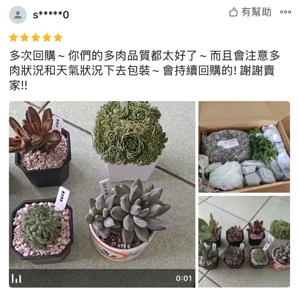 《春園多肉》4吋多肉 植物組盆 辦公室療癒小盆栽 風水擺飾 贈品🎁 🈵 199發貨【77領卷免運】 🚚-細節圖10