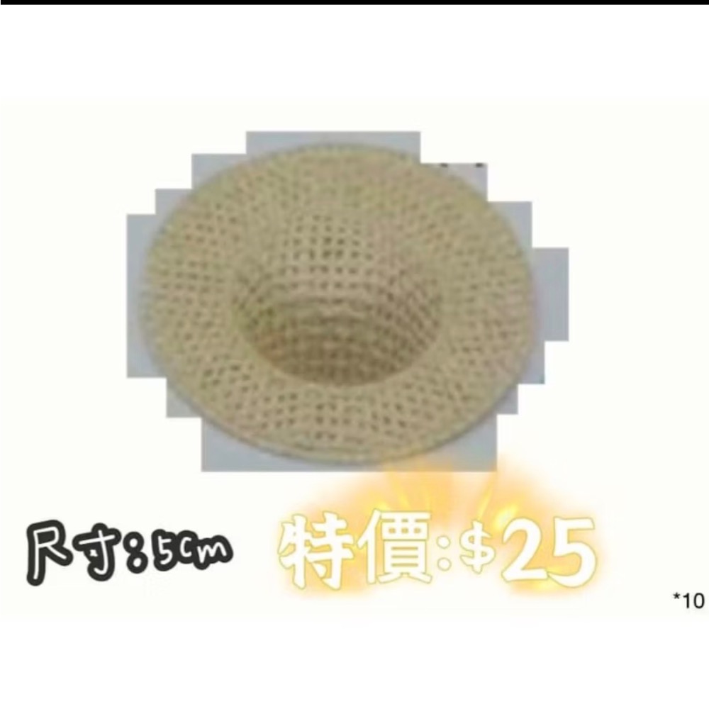 《春園多肉》🈵199發貨【399超商免運】 🚚 聖誕節.過年飾品擺件-規格圖8