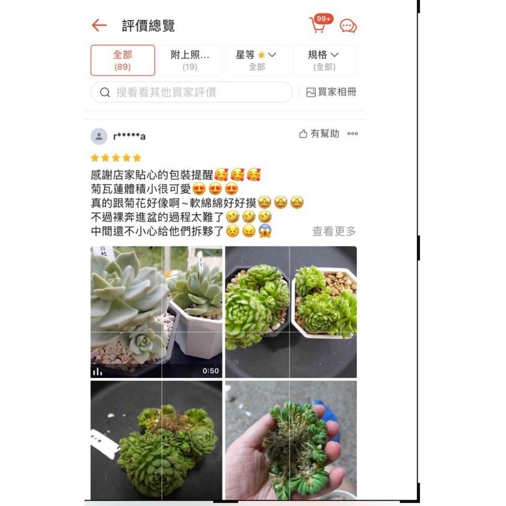 《春園多肉》🈵 199發貨【399超商免】 🚚 3吋多肉植物組盆、辦公室療癒小盆栽、風水擺飾、贈品🎁-細節圖8