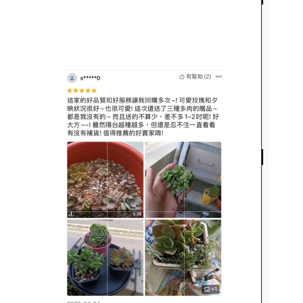 《春園多肉》🈵 199發貨【399超商免】 🚚 3吋多肉植物組盆、辦公室療癒小盆栽、風水擺飾、贈品🎁-細節圖9