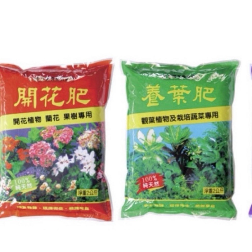 春園多肉滿199發貨【399超商免運】 施達營養液 B1開根 B2成長 B3催花 B4養葉 有機質顆粒肥 紅開花 綠養葉-細節圖2