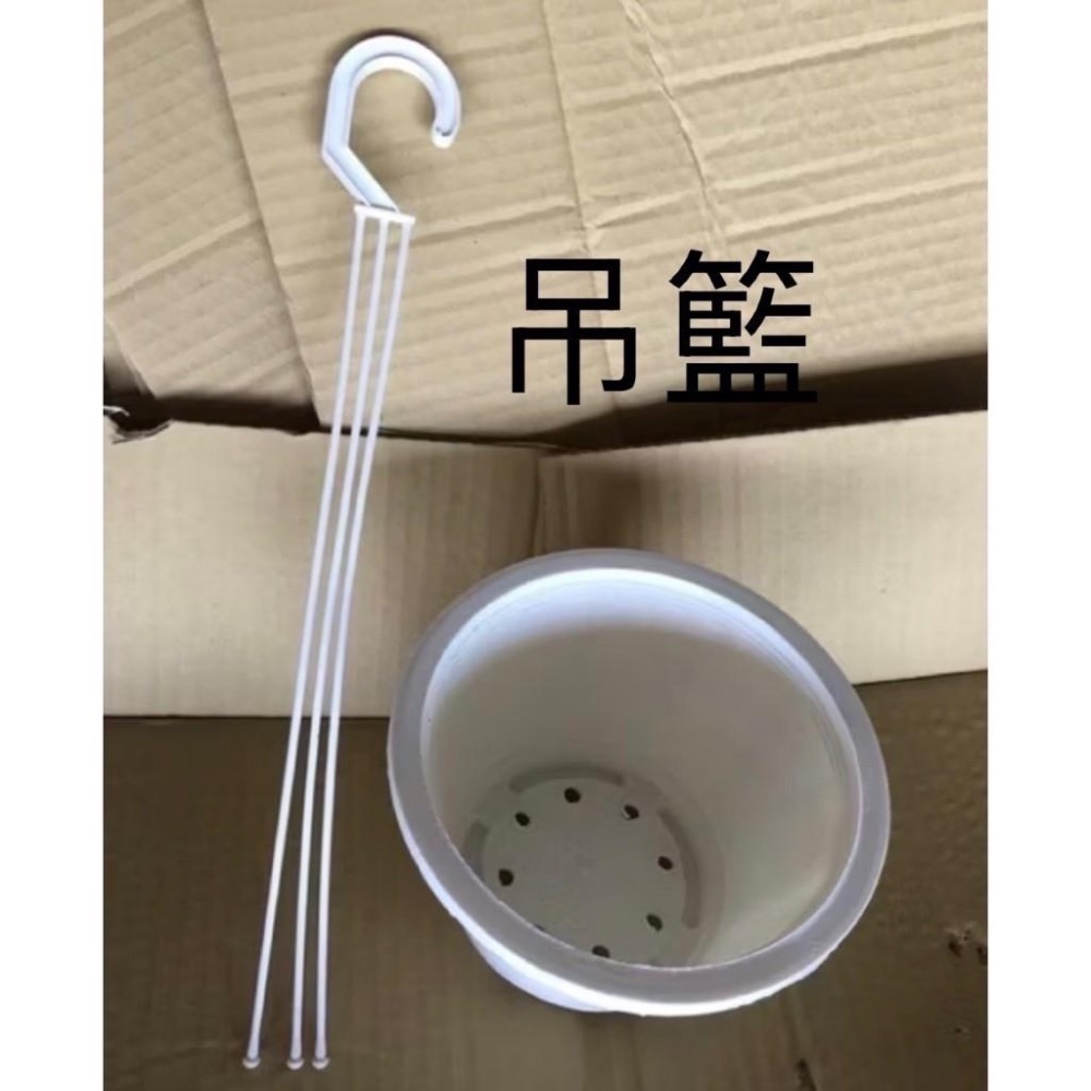 《春園多肉》🈵199發貨【77領卷免運】 🚚 多肉植物 風水植物 辦公室小品 療癒小品 小盆栽 組盆-細節圖4