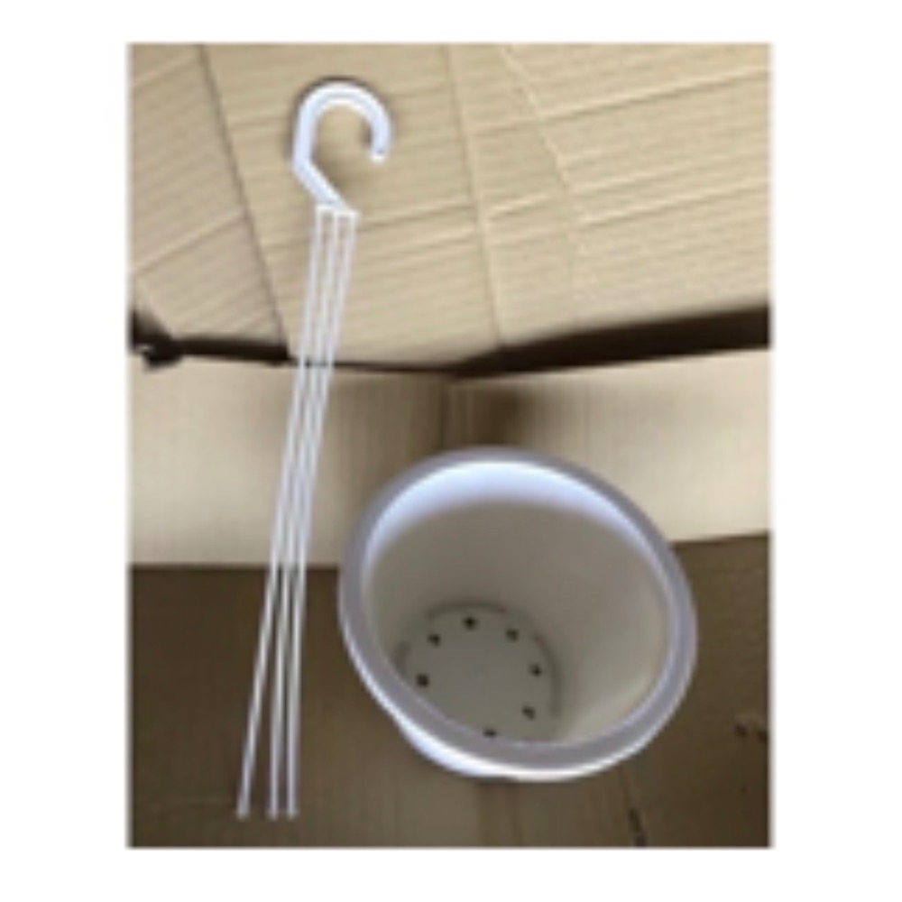 《春園多肉》🈵199發貨【77領卷免運】 🚚 多肉植物 風水植物 辦公室小品 療癒小品 小盆栽 組盆-規格圖4