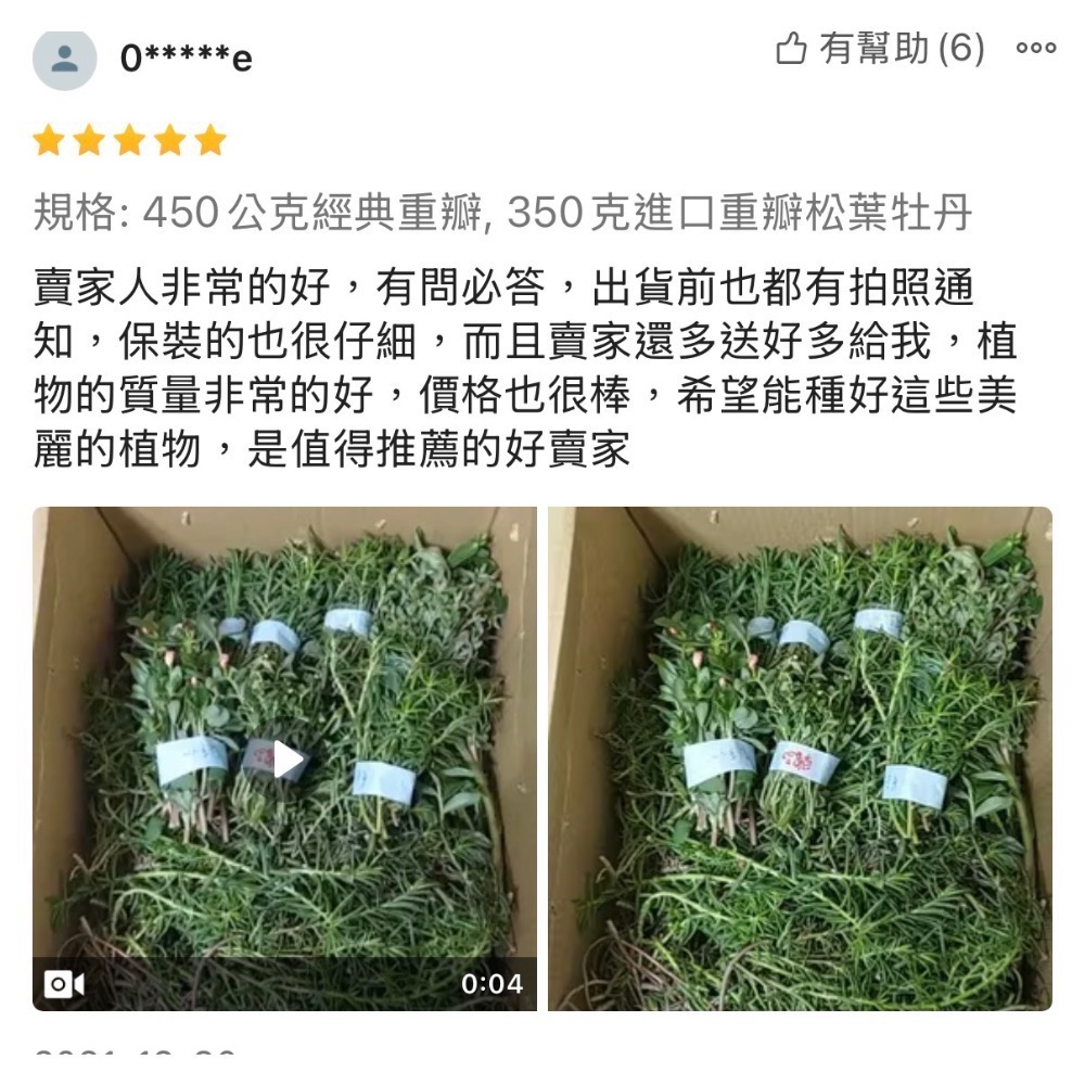 春園多肉 松葉牡丹 多重瓣 太陽花 🈵199發貨【77領卷免運】福利品⛔️完美者勿下單、物超所值、收割長短粗細不一-細節圖5