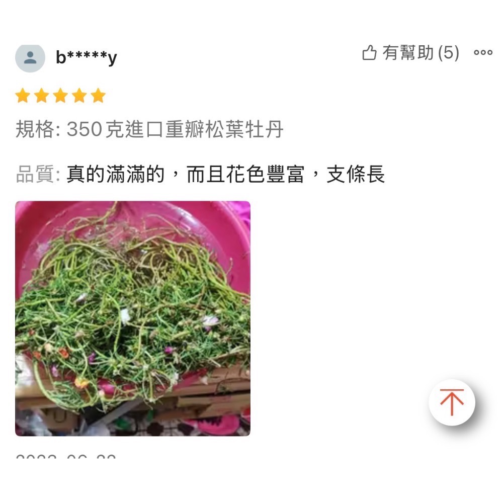 春園多肉 松葉牡丹 多重瓣 太陽花 🈵199發貨【77領卷免運】福利品⛔️完美者勿下單、物超所值、收割長短粗細不一-細節圖6