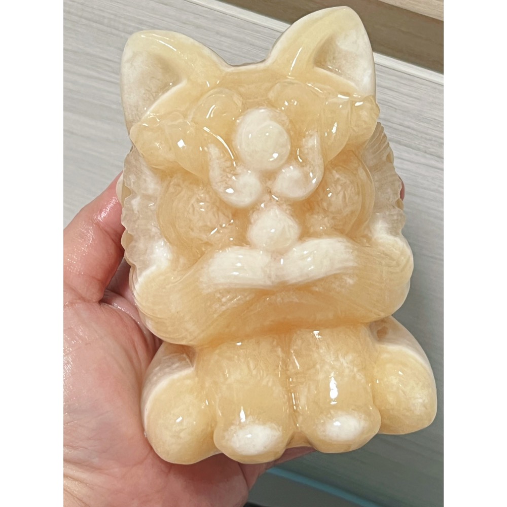 。醒獅。貓獅。佘太翠 芒果奶蓋。🌸-細節圖7