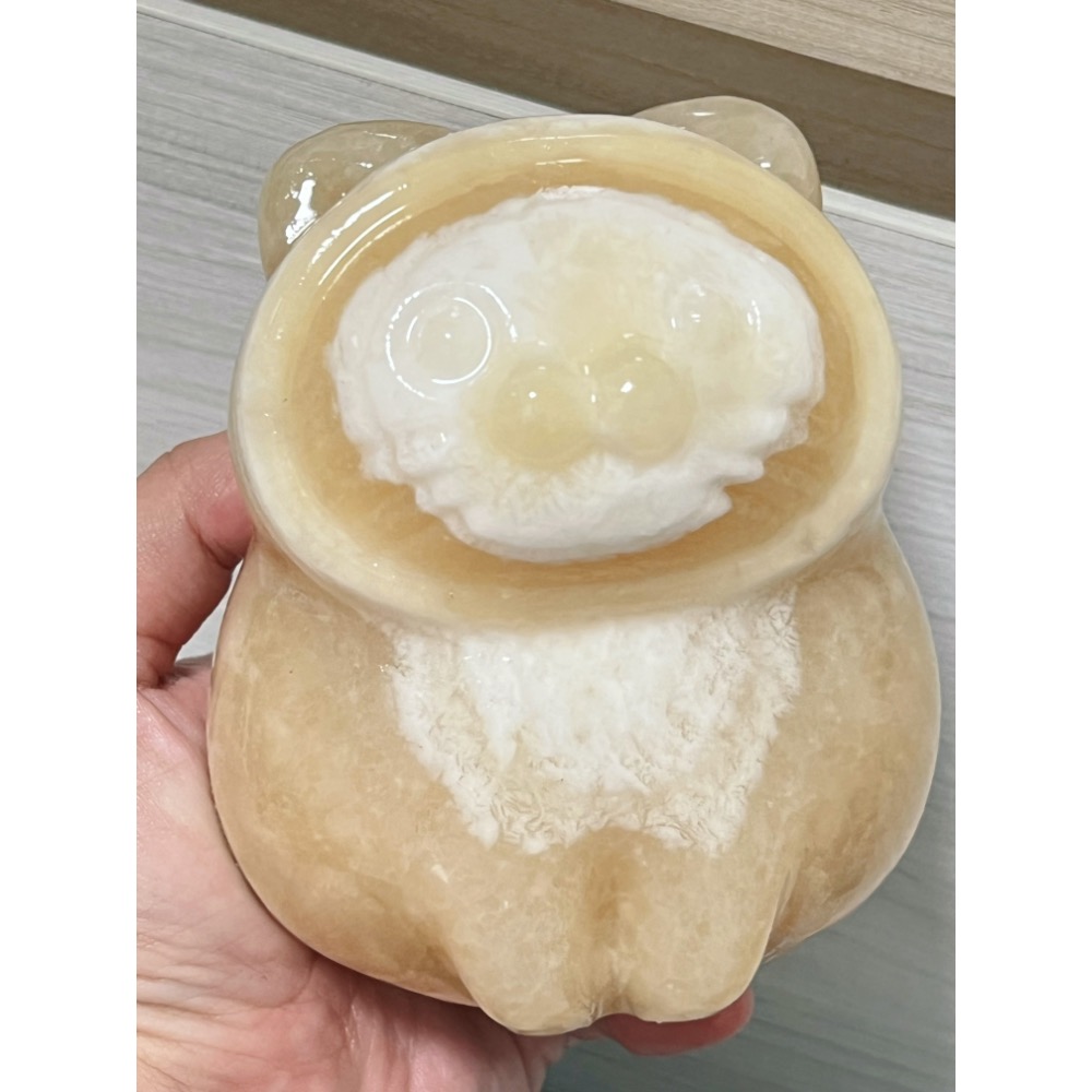 。海豹貓。佘太翠 芒果奶蓋。🌸-細節圖7